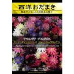 宿根草種子 アキレギア クレメンタインシリーズ フォーミュラミックス [Life with Green]