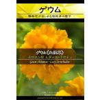 宿根草種子 ゲウム チロエンセ レディストラセデン [Life with Green]