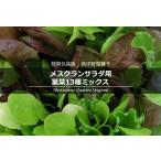 簡易包装版 西洋野菜種子 メスクランサラダ用 葉菜13種ミックス [ 直売限定 ][Life with Green]