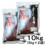 白米 精米 秋田県産 あきたこまち 10kg (5kg×2袋) 令和6年産 秋田 甘み 粘り ごはん ご飯