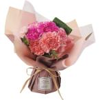 母の日 2025 ギフト そのまま飾れる 母の日ブーケ ピンク フラワー 花 花束 生花 フラワーギフト お届け期間5月7日〜11日