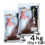 白米 精米 秋田県産 あ