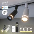ショッピングIS ダクトレール用 ミニスポットライト 2灯 LED 間接照明 エジソンスマート TREO 2個セット リモコン アレクサ対応 調色調光 Wi-Fi スマホ スマート照明 おしゃれ