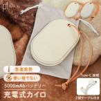 ショッピングカイロ 充電式カイロ モバイル 充電式 カイロ モバイルバッテリー 急速充電 電子 電気カイロ 防寒グッズ オフィス 寒さ対策 通学 電子カイロ 電熱カイロ 2段温度調節