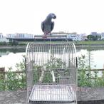ショッピング鳥 バードキャリア 錬鉄の鳥のキャリアのオウムの鳥のケージのステンレス鋼の通気性の高い旅行ケージ ペット用品 (Color : A)