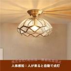  потолочный светильник изоляция лампа вход освещение потолочный светильник люстра ( АО )C&amp;J осветительное оборудование Северная Европа подвесной светильник античный салон освещение Inte rear living ..