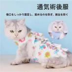  кошка для . после одежда домашнее животное уход одежда домашнее животное . после одежда . после одежда . часть защита . после восстановление царапина облизывание C&amp;J.... предотвращение .. царапина .. защита кошка развлечение мяч 2 шт имеется 