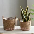  цветочный горшок место хранения корзина плетеный корзина декоративное растение горшок растение в горшке цветок горшок цветок pot стирка корзина цветок корзина ручная работа ( АО )C&amp;J натуральный атмосфера горшок корзина горшок корзина подарок 