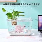  круглый аквариум me Dakar прозрачный аквариум ваза аквариум бутылка аквариум Bubble миска C&amp;J бутылка террариум мох террариум kokelium наружный для огород удобный 