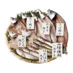 【産直送】山陰海鮮一夜干しセット 日本産 魚介類 海産物 魚介惣菜 食品セット まとめ買い おしゃれ ギフト プレゼント 調理 お取り寄せ 健康食品