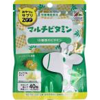 おやつにサプリZOO マルチビタミン チュアブルタイプ パイナップル風味 40粒 マルチビタミンチュア