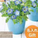 名入れ ギフト かわいい 誕生日プレゼント 妻 友達 贈り物 カワイイ 可愛い 母 退職祝い 女の子 女性 友人 女友達 文字入れ 記念品 お花 ネモフィラ