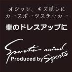 スポーツカーステッカー スポーツ SPORTS 文字ステッカー カッティング ステッカー おしゃれ LP-EBSETMOJI