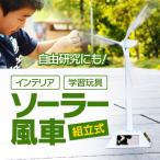 組み立て式 ソーラー風車 卓上オブジェ 知育玩具 自由研究にも 風力タービン ECO学習 インテリア 子供も大人も ECOインテリアウインドミル LP-SWDM03