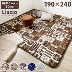 ラグ カーペット 3畳 厚手 北欧 フランネル 極厚 ウレタン ラグマット 190×240 床暖房 厚手 長方形 冬 冬用 おしゃれ 柄 ふわふわ 絨毯 滑り止め