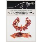 マウスの断面解剖アトラス