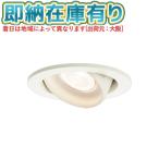 0[ юридическое лицо ограничение ][ немедленная уплата наличие есть ] LGD1422L LE1 Panasonic потолок . включено type LED лампа цвет универсальный встраиваемый светильник . type 10H сборник свет . включено дыра φ100 [ LGD1422LLE1 ]