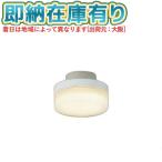 0[ юридическое лицо ограничение ][ немедленная уплата наличие есть ] AH55017 Koizumi KOIZUMI маленький размер изоляция белый огонь лампочка 100W соответствует не style свет лампа цвет [ AH55017 ]