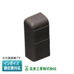 [法人限定] PHMEL-55T【チ