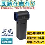 ショッピング即納 ○[即納在庫有り] TPG-PI-M 日動工業 NICHIDO 突風GUN ブロワー 充電式 コードレス エアダスター 電動 クリーナー 最強 小型 ハンディ [ TPGPIM ]
