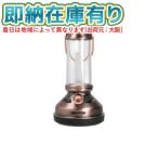 ○[即納在庫有り]EX-016PB...