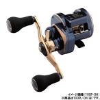  Daiwa катушка bait reel 21 saltiga IC 100PL-DH