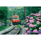 300ピース ジグソーパズル めざせパズルの達人シリーズ あじさい薫る箱根登山電車 (26x38cm)