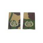  Англия армия отличительный знак RQMS QMSI 2 класс ..DPM утка 2 листов комплект новый товар неиспользуемый товар 