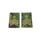  Англия армия отличительный знак барабан Major тамбурин без тарелочек рука длина DPM утка 2 листов комплект новый товар неиспользуемый товар 