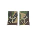  Англия армия отличительный знак RAF воздушный special список Class 1 technni автомобиль nDPM утка 2 листов комплект новый товар неиспользуемый товар 