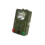 スイス軍 シグナルライト 電球2個付