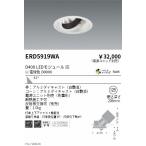 . глициния освещение DUAL универсальный DL D400 3000K широкоугольный ERD5919WA