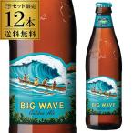 送料無料 12本販売 コナビール ビックウェーブ ゴールデンエール 355ml瓶×12本 アメリカ ビッグウェーブ 長S