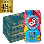 賞味期限2025/11/30の訳あり 在庫処分 アウトレット ブルックリン パルプアートヘイジーIPA 350ml 48本 送料無料 海外ビール クラフトビール 長S