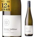  вино кейс распродажа (12 шт. входит ) vi ntsa-k Lem sg дракон na- фетр lina- Австрия белый вино длина S