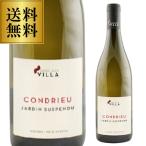 白ワイン コンドリュー ジャルダン ススポンデュー ピエール ジャン ヴィラ (2016)  750ml フランス　ローヌ　 辛口  浜運
