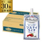  жираф мир. Kitchen из sorutilaichipauchi портативный упаковка 300g×1 кейс итого 30шт.@KIRIN. средний . меры бесплатная доставка GLY