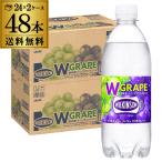 ウィルキンソン タンサン ダブルグレープ 500ml×48本 PET ペット タンサン ウイルキンソン ウヰルキンソン 炭酸 炭酸水 ぶどうGLY