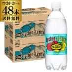 ウィルキンソン タンサン ライチ＆レモン 500ml×48本 PET ペット タンサン ウイルキンソン ウヰルキンソン 炭酸 炭酸水 ライチ レモン GLY
