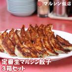 マルシン飯店 生餃子3箱セット 送料無料 1箱20個入×3箱 生餃子 ギョーザ 中華 お取り寄せ 冷凍食品 クール代込 (産直)