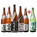 日本酒 新潟地酒飲み比べセット 1800ml 5本+1本 計6本 送料無料 純米大吟醸 大吟醸 吟醸 純米 新潟県 辛口 燗酒 冷酒 清酒 長S