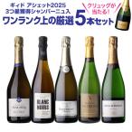 シャンパンセット シャンパン 実力派メゾンだけを集めた高級辛口シャンパン5本セット 39弾 送料無料 1本/5,000円 浜運A