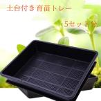  выращивание рассады pot tray выращивание рассады tray выращивание рассады контейнер . рассадный ящик гидропонная культура бонсай тренировка pot суккулентное растение транспортировка для pot фундамент имеется 5 комплект 