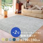 ラグ 夏 夏用 洗える ラグマット カーペット 接触冷感 ひんやり 防ダニ 抗菌 遮音 防音 約190×190cm 約2畳相当 床暖房対応 ホットカーペット対応 日本製 国産