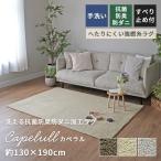 ラグ 洗える 夏ラグ 夏用 ラグマット シャギー 130×190cm 1.5畳 抗菌 防臭 防ダニ オールシーズン カーペット 滑り止め 北欧 韓国 おしゃれ カペラル ER-025