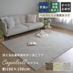 ラグ 洗える 夏ラグ 夏用 ラグマット シャギー 190×240cm 3畳 抗菌 防臭 防ダニ オールシーズン カーペット 滑り止め 北欧 韓国 おしゃれ カペラル ER-025