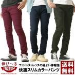 チノパン 伸縮 ストレッチ イージーパンツ スキニー メンズ セール S M L XL ボトムス スリムフィットカラーパンツ r2e-0640 通販A3