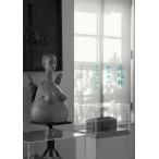 【中古】舟越桂　私の中のスフィンクス