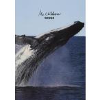 ショッピングmr.children 【中古】Mr.Children/SENSE (バンド・スコア)