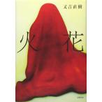 [ б/у ] вспышка 